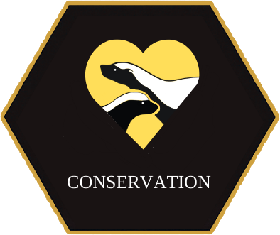 Conservation