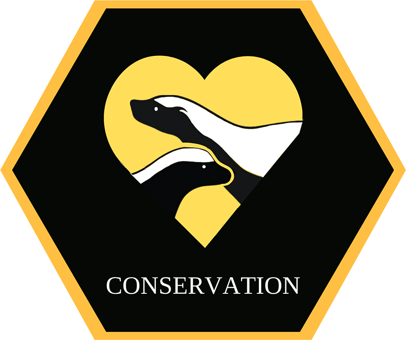 4-img Conservation